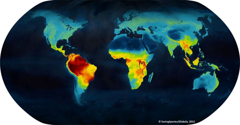 Where on Earth is Biodiversity the Greatest
