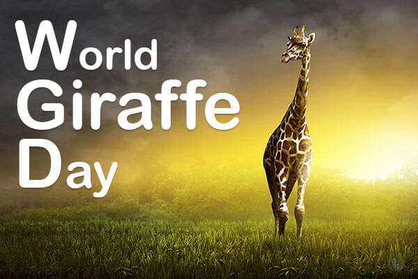 When is World Giraffe Day