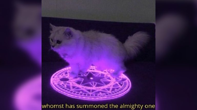 Whomst Has Summoned the Almighty One