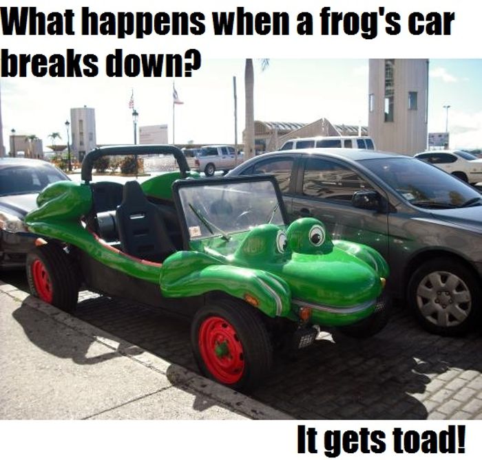 What Happens When a Frog’S Car Breaks