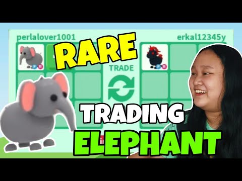What is Elephant Worth in Adopt Me