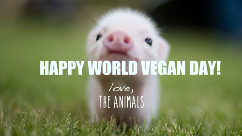 When is World Vegan Day