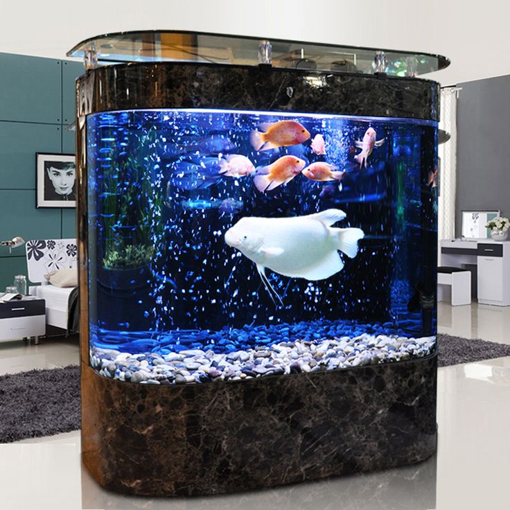 Can an Aquarium Be Too Heavy for Floor?