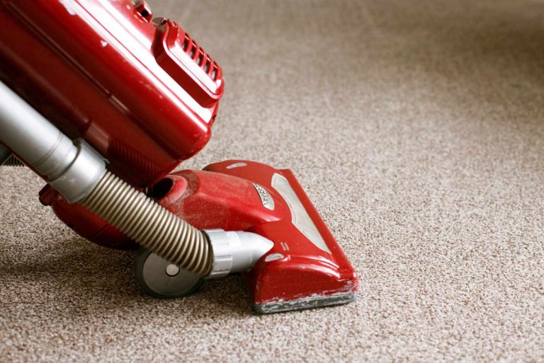 What Should You Not Put in a Carpet Cleaner?
