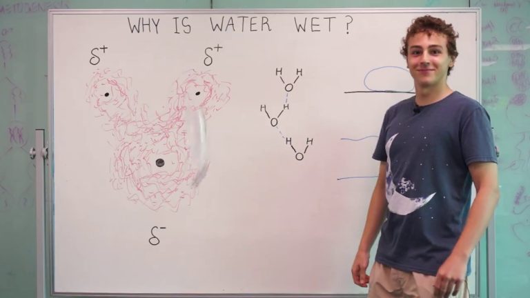 Why Is Water Wet?