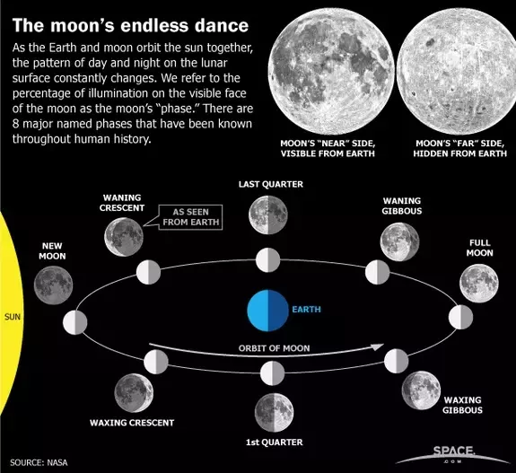 Why Does The Moon Not Spin?