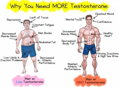 Does No Chest Hair Mean Low Testosterone?