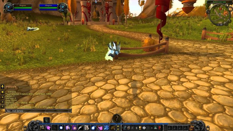 How To Get An Npc In World Of Warcraft