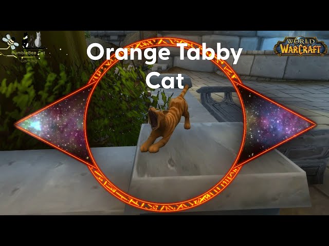 World Of Warcraft Find An Orange Pet Battle