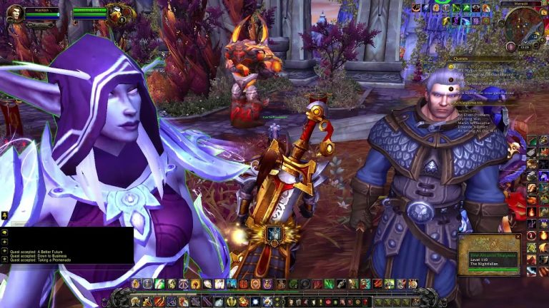 World Of Warcraft An Elven Problem