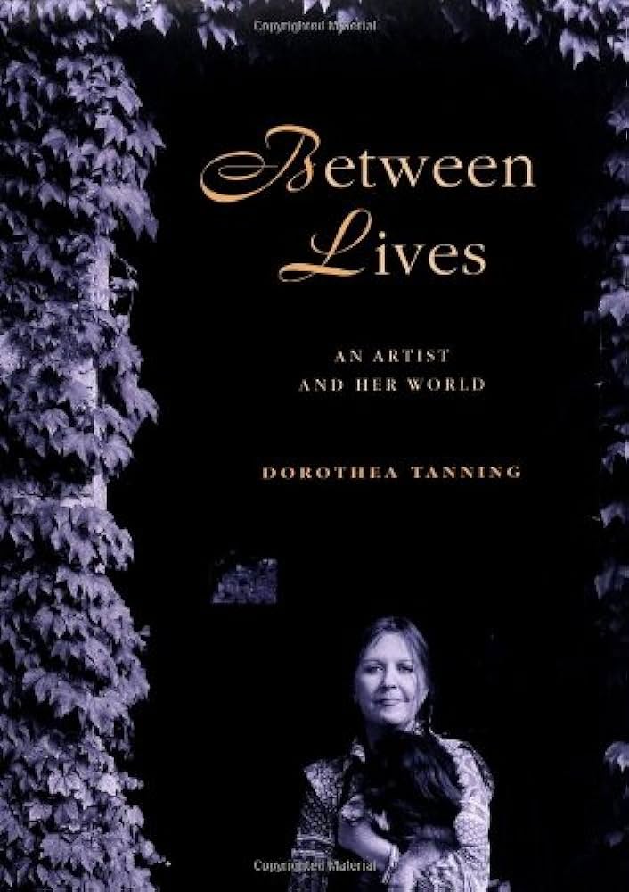 Between Lives An Artist And Her World Paperback